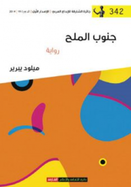 جنوب الملح : رواية