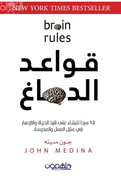 قواعد الدماغ