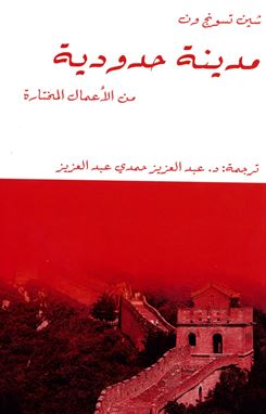 مدينة حدودية