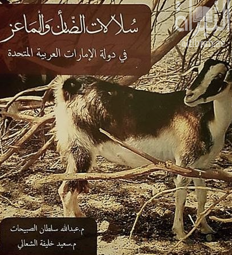 سلالات الضأن والماعز في دولة الإمارات العربية المتحدة