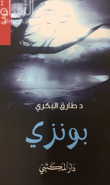 بونزي : رواية