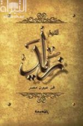 الشيخ زايد في عيون مصر