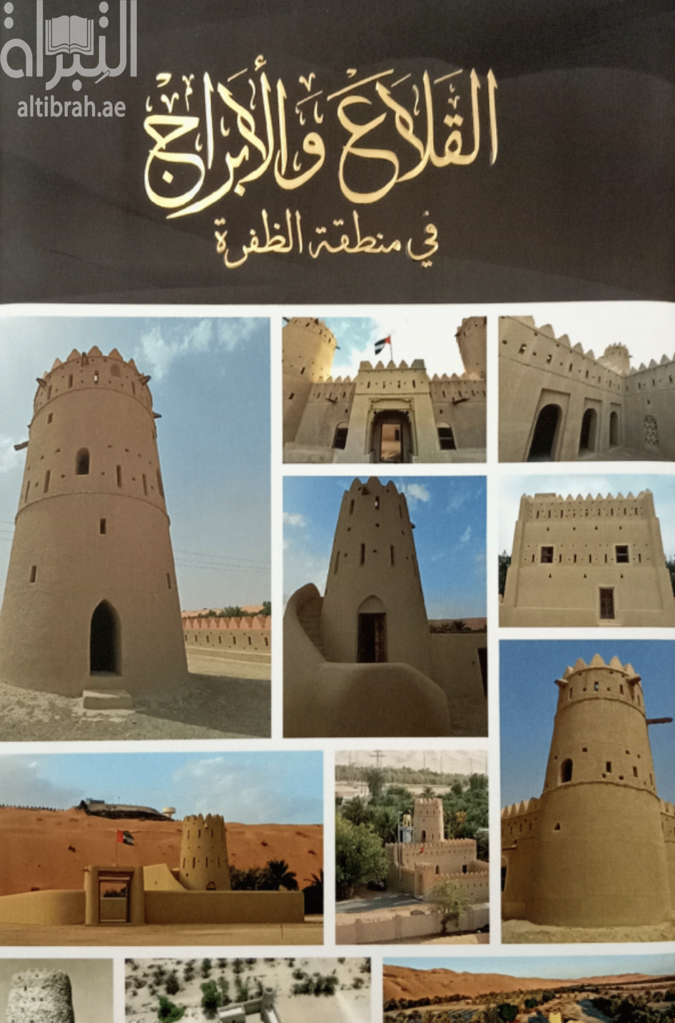 القلاع والأبراج في منطقة الظفرة