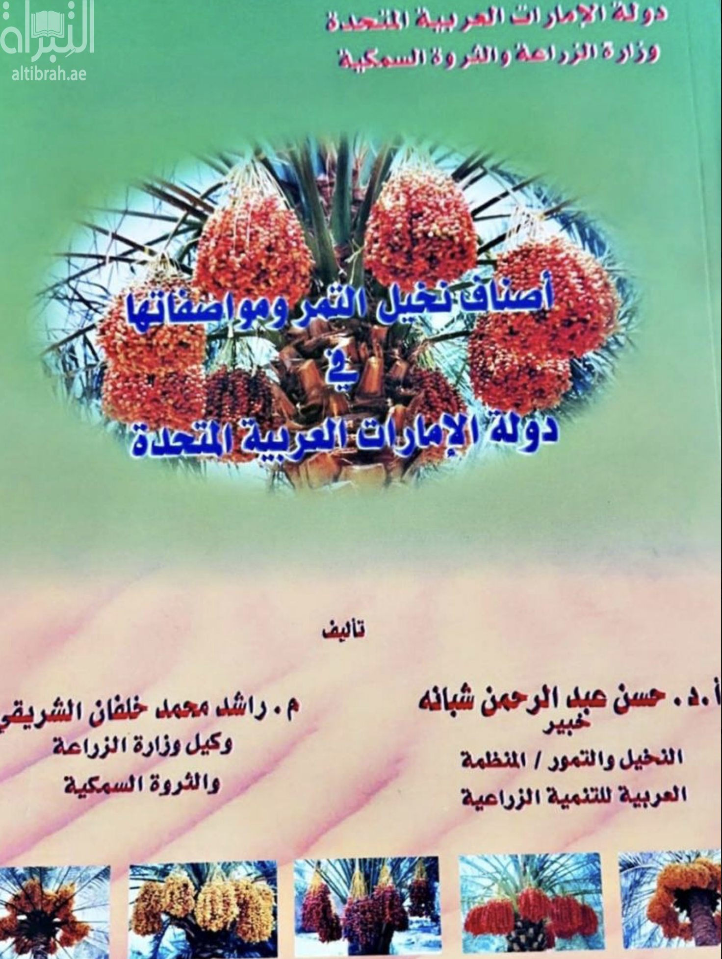 أصناف نخيل التمر ومواصفاتها في دولة الإمارات العربية المتحدة