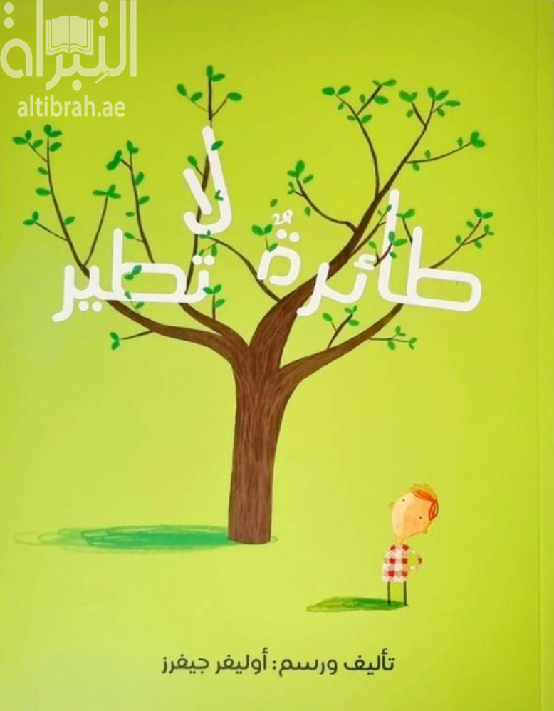 طائرة لا تطير