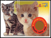 كيتن وأصدقاؤه