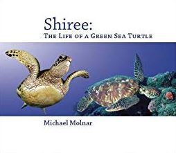 شيري : حياة سلحفاة بحرية Shiree: The Life of a Sea Turtle