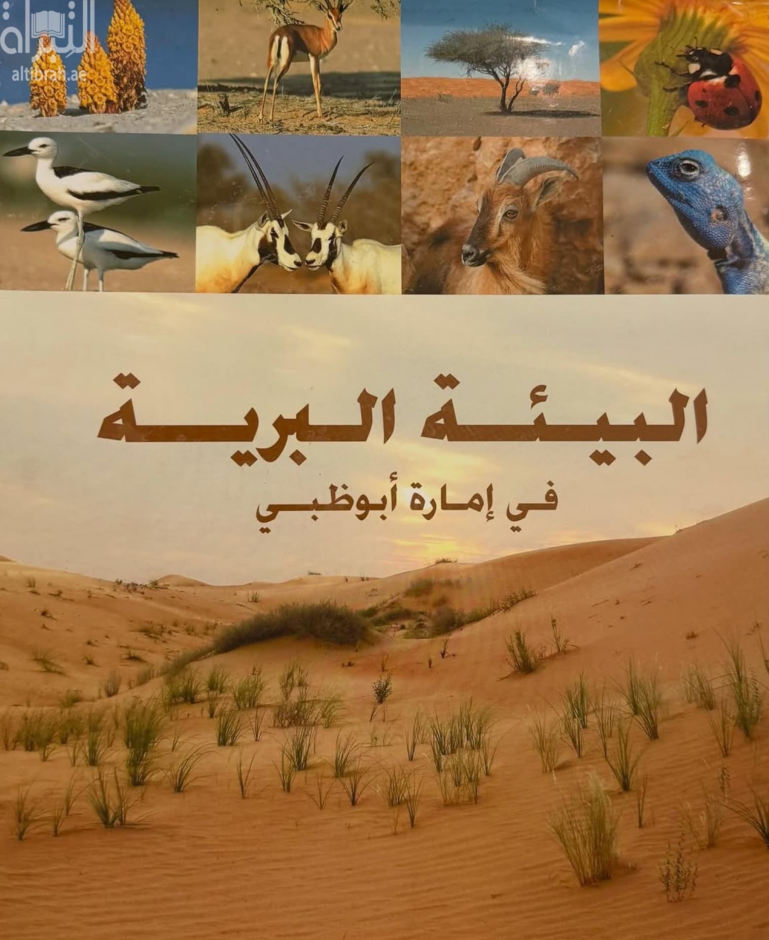 البيئة البرية في إمارة أبوظبي Terrestrial environment of Abu Dhabi Emirate
