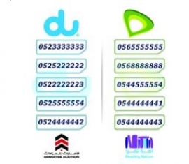 شركتا "اتصالات" و "دو" تدعمان مزاد "أمة تقرأ" بـ 10 أرقام مميزة تبلغ قيمتها ملايين الدراهم