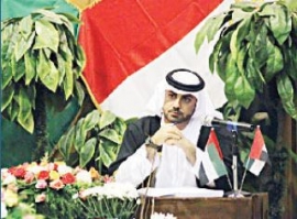 رسالة ماجستير تتناول «السياسة الخارجية الإماراتية تجاه أفريقيا»