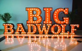 الإمارات تستضيف أول نسخة افتراضية من سوق الكتب &quot;بيغ باد وولف&quot;