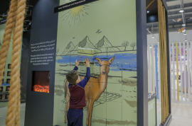 "بيت الحكمة" يصحب أطفال "الشارقة القرائي" في رحلة ملهمة مع "حيّ بن يقظان"