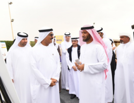 مبادرة «كشتة القراءة»