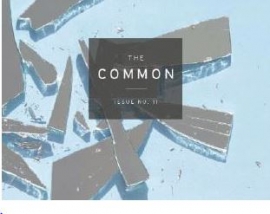 ذا كومون الأميركية.. عدد خاص عن السرد العربي يشمل فاطمة المزروعي من الإمارات