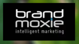 أبوظبي : براند موكسي